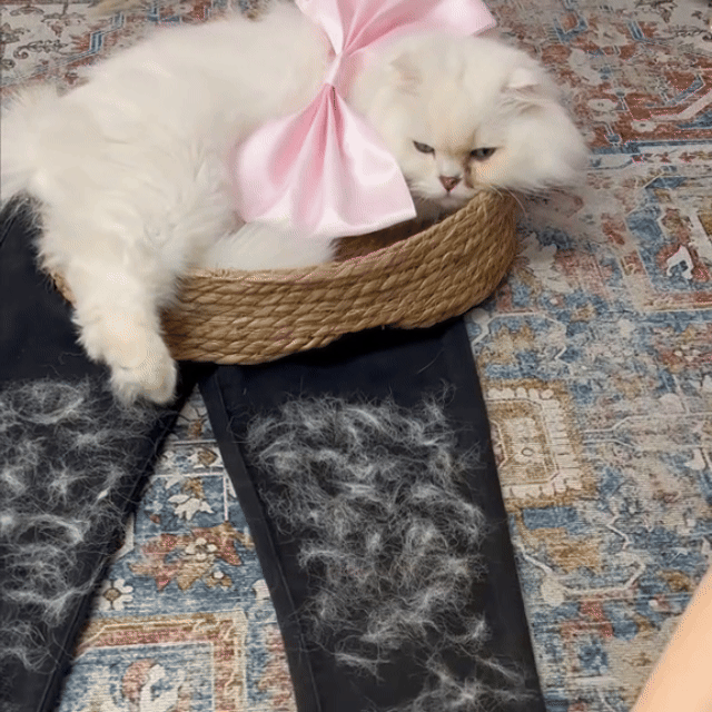 Pawly Mellow™ Pet Hair Remover Glove